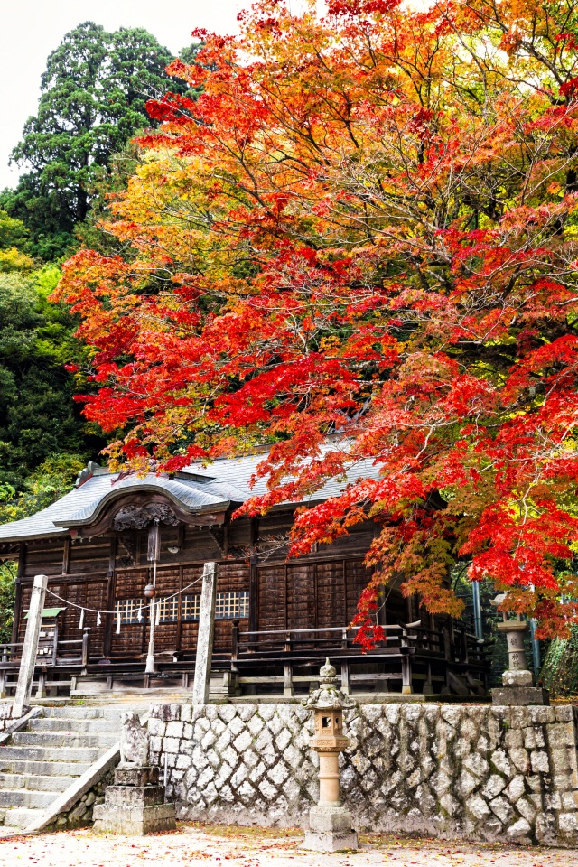 徳山神社（縦）