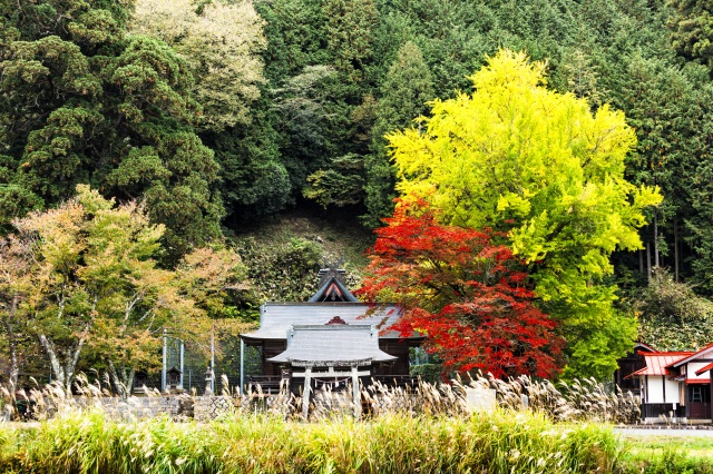 徳山神社