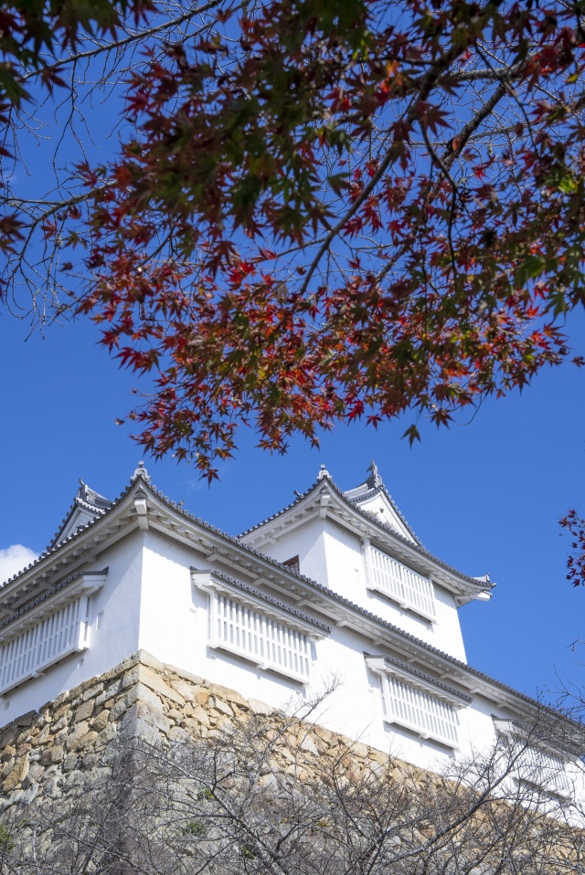 津山城（鶴山公園）（縦）
