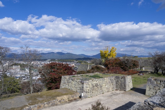 津山城（鶴山公園）