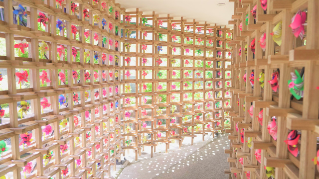 道の駅レストセンターあわくらんど