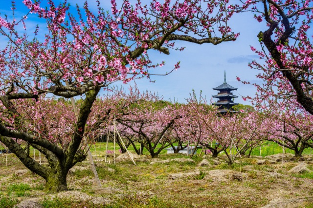備中国分寺