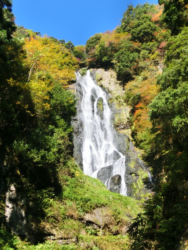神庭の滝（縦）