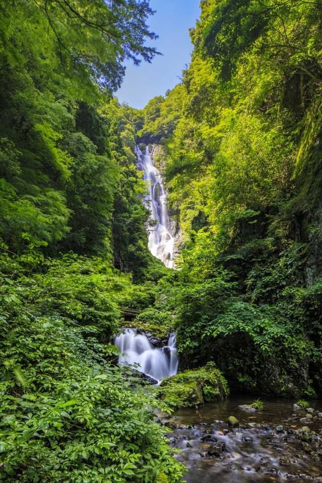 神庭の滝（縦）