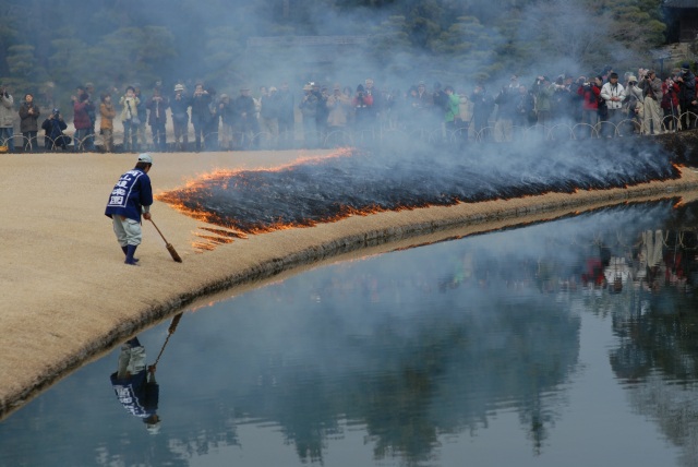 岡山後楽園　芝焼き