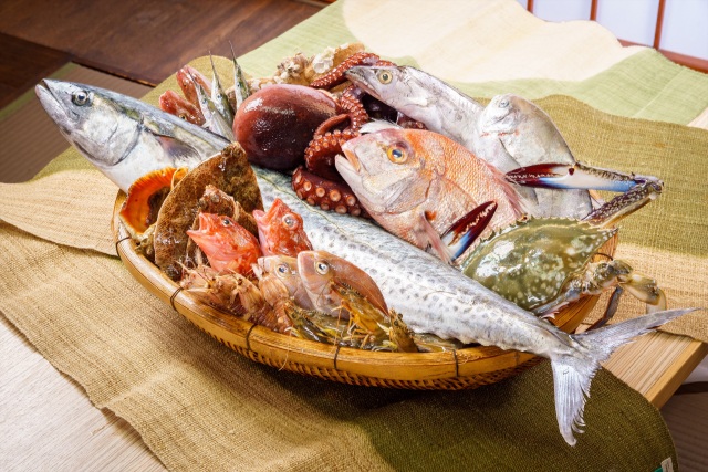 瀬戸内の魚介類