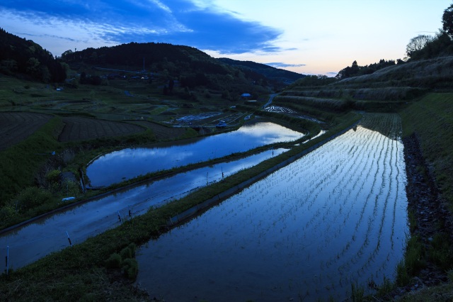 大垪和西の棚田