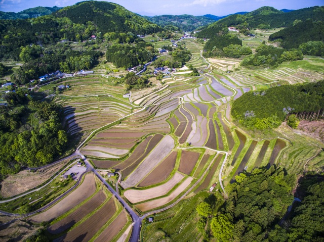 大垪和西の棚田
