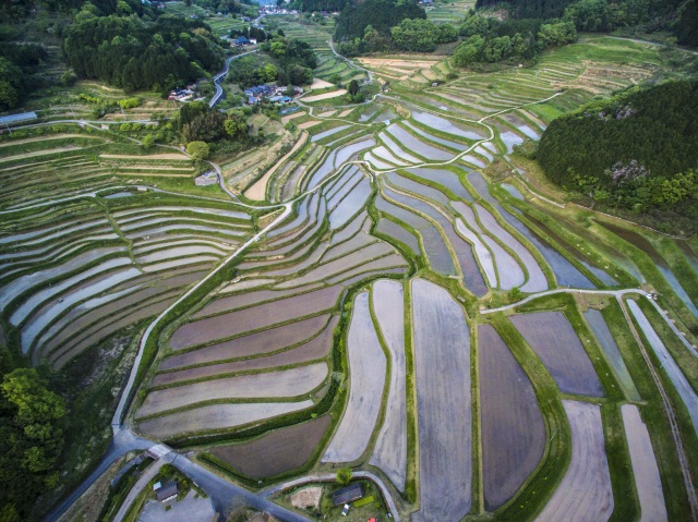 大垪和西の棚田