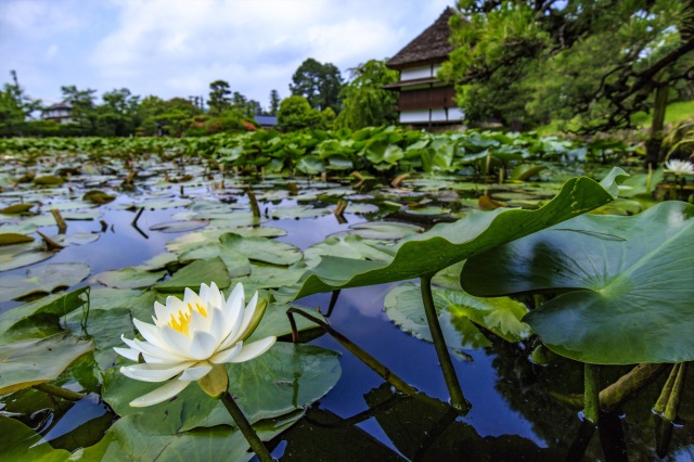衆楽園