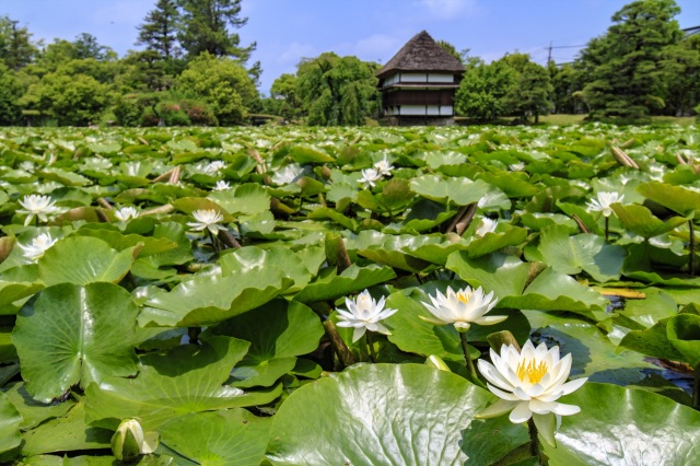 衆楽園