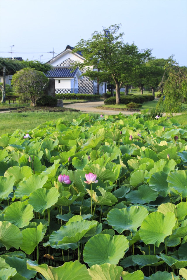 備中高松城址（縦）