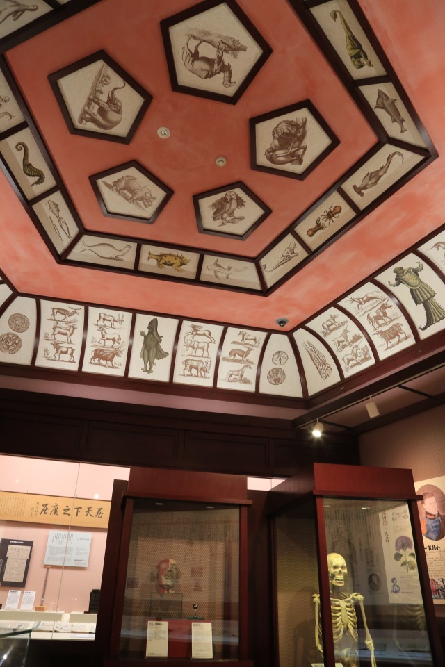津山洋学資料館（縦）