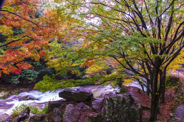 豪渓