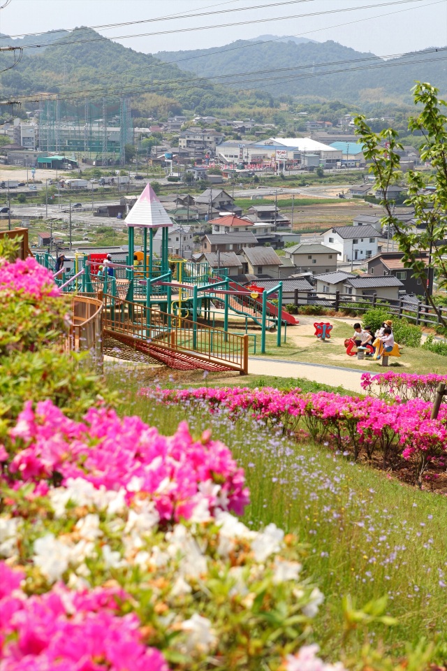 つばきの丘公園（縦）