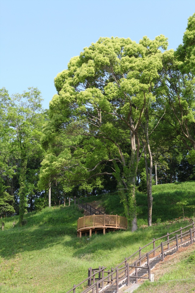 つばきの丘公園（縦）