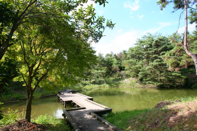 里庄町美しい森