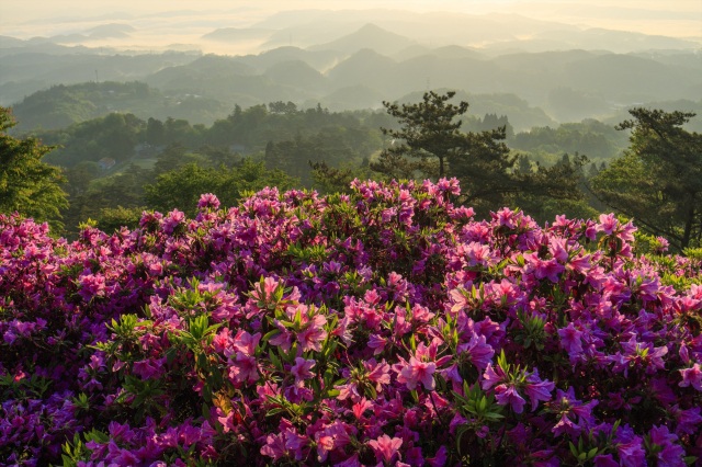 弥高山