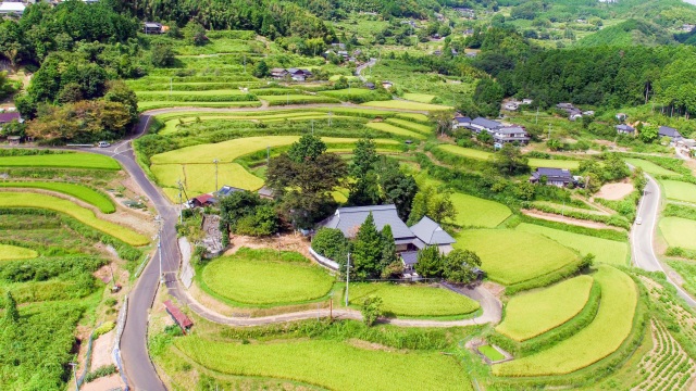 上籾棚田