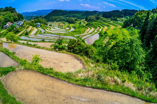 北庄棚田