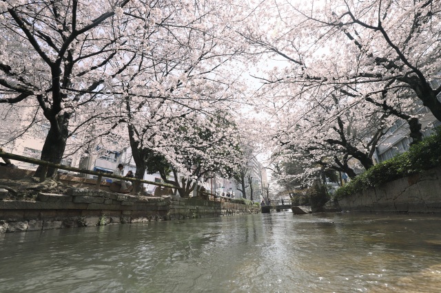 西川緑道公園