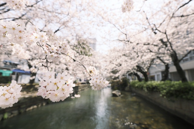 西川緑道公園