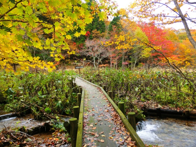 岡山県立森林公園