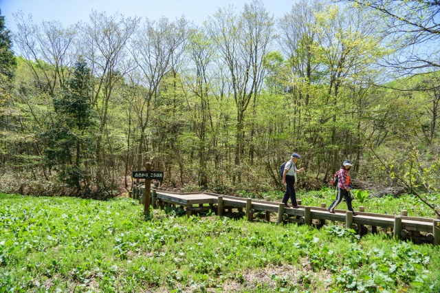 岡山県立森林公園