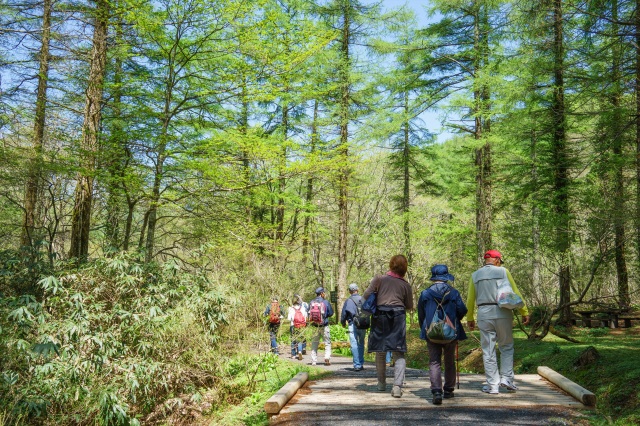 岡山県立森林公園