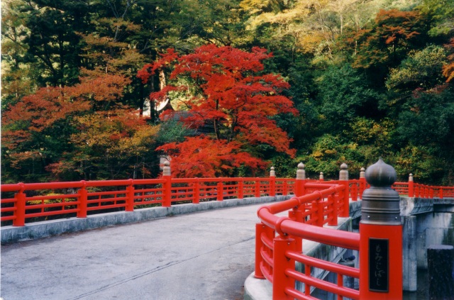天神峡