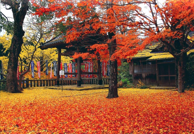 木山寺