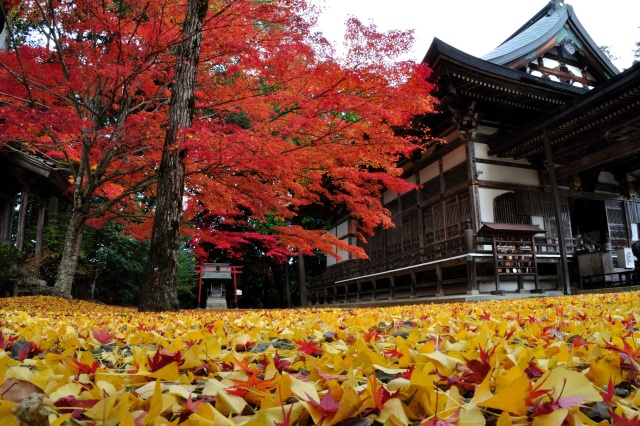木山寺