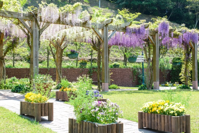 深山イギリス庭園