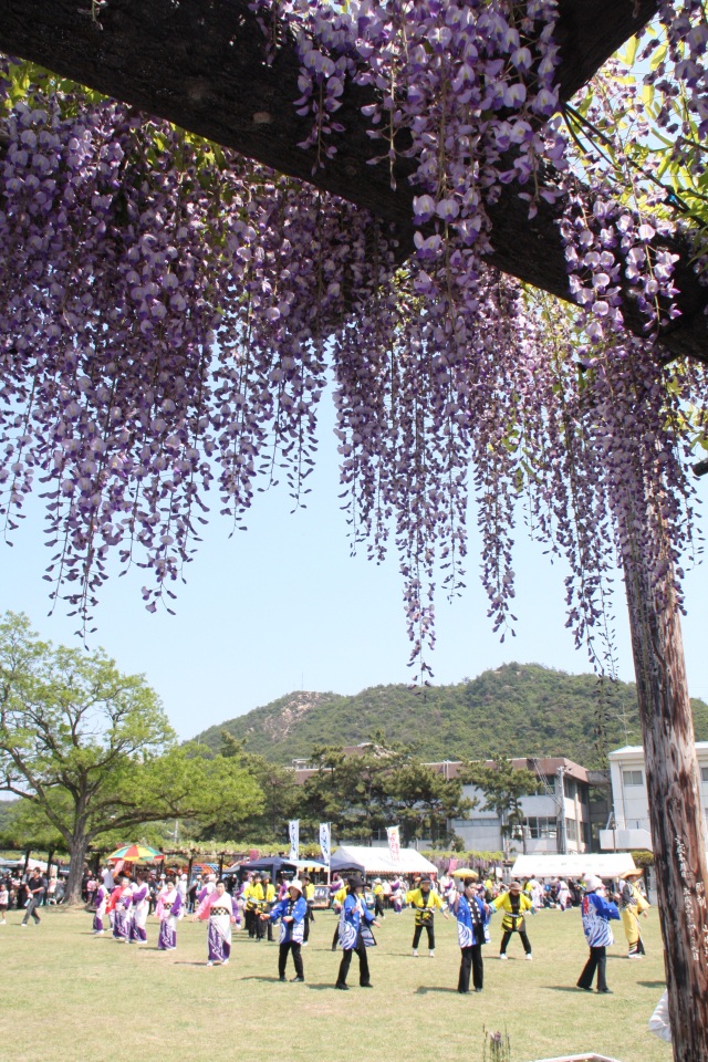 渋川公園（縦）