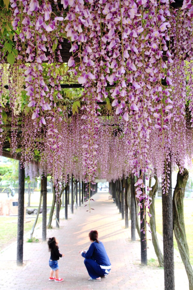 渋川公園（縦）
