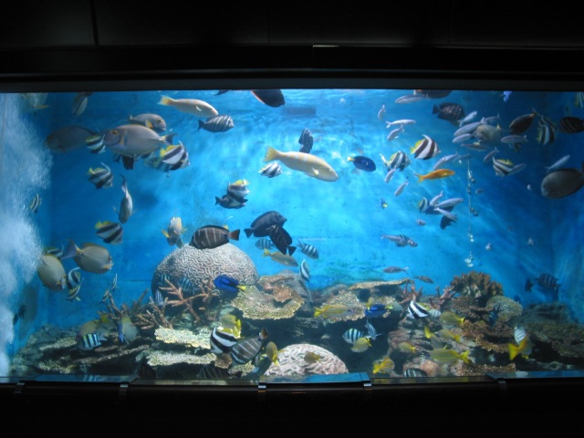 渋川マリン水族館（玉野市立海洋博物館）