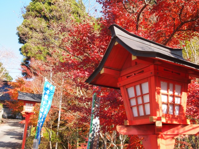 観音寺（もみじ寺）