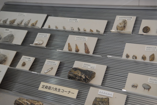 なぎビカリアミュージアム