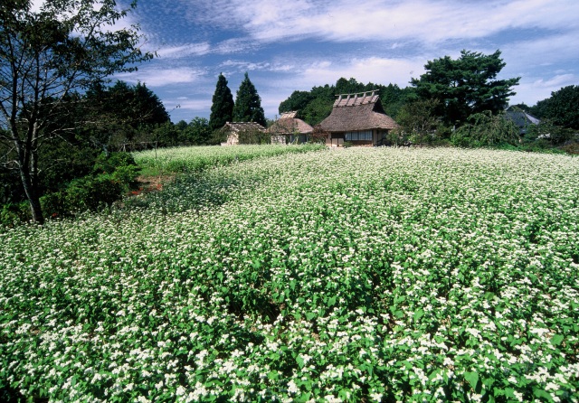 普門寺