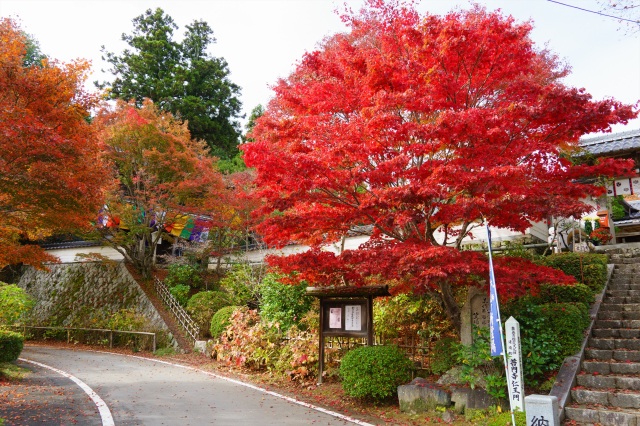 普門寺