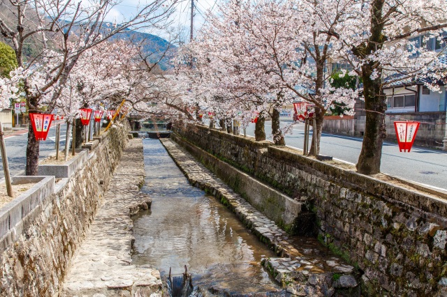 紺屋川美観地区