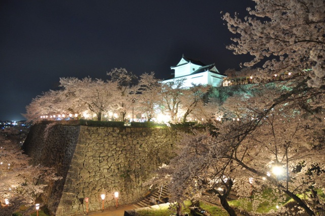 津山城（鶴山公園）