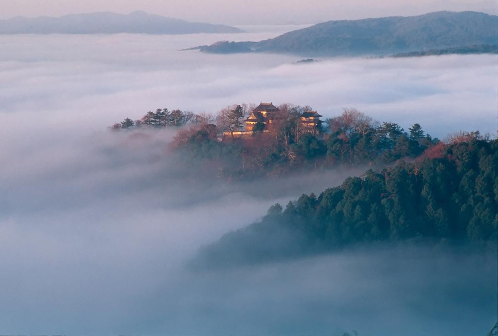 天空の山城「備中松山城」の魅力に迫る