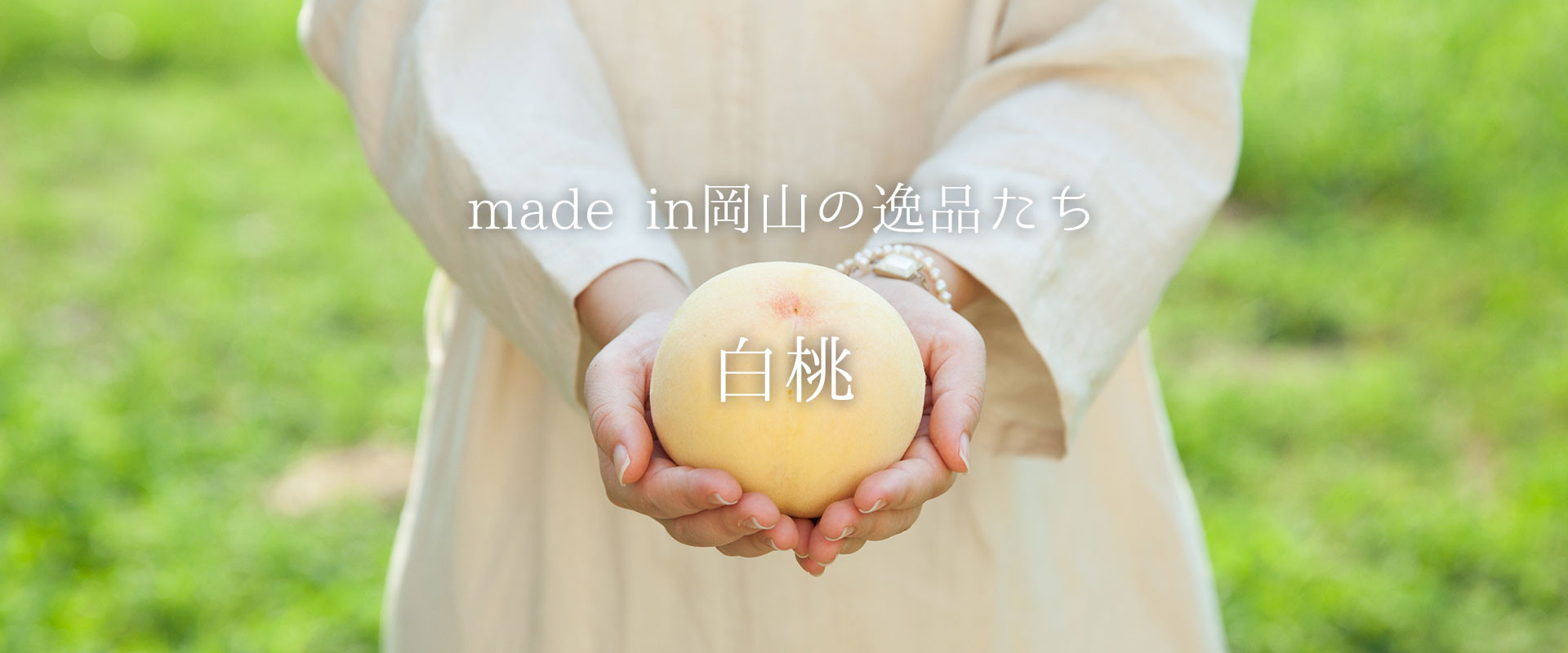 伝統と歴史に育まれた岡山ブランド『白桃』