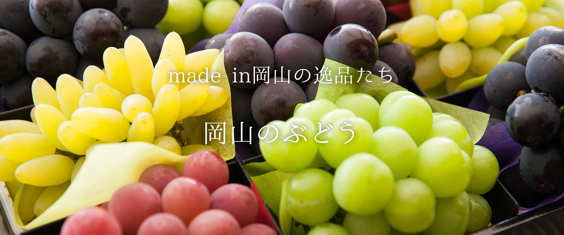 全国一の生産量を誇る『ピオーネ』を筆頭に、個性を放つ岡山のぶどう