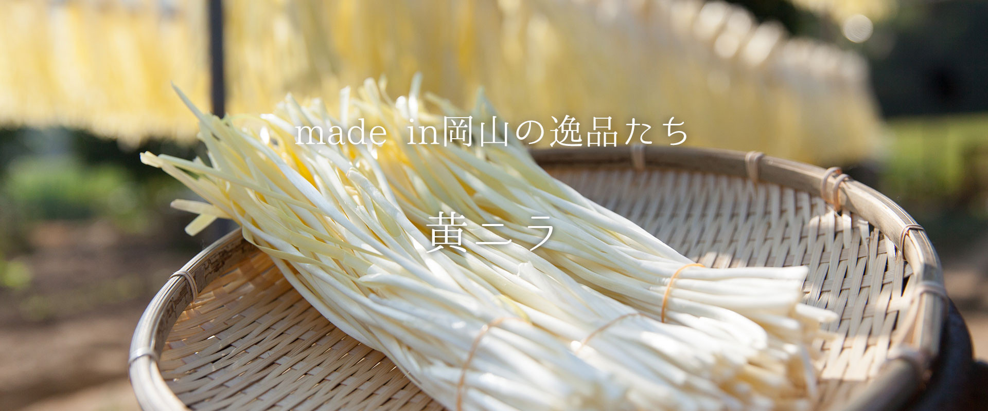 生産量の7割を誇る岡山の『黄ニラ』は上品な香りと甘みが自慢