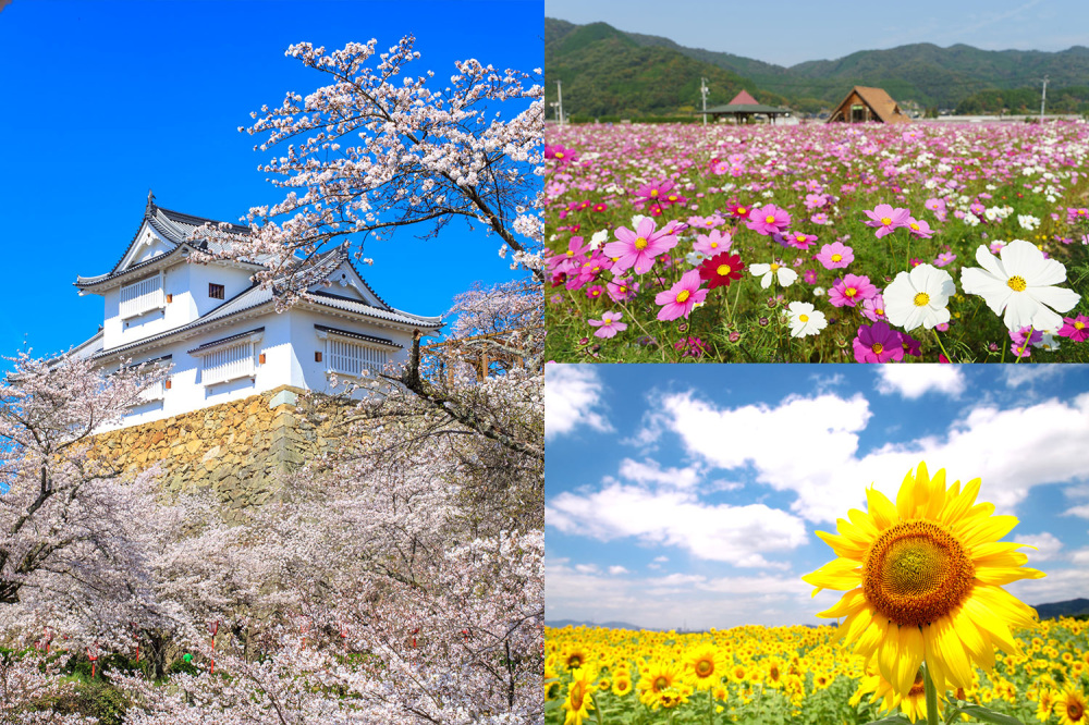 花ごよみ一覧