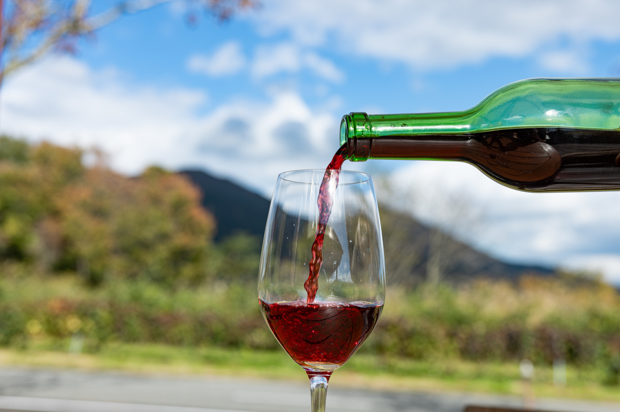 くだもの王国おかやまから生まれるワインたち