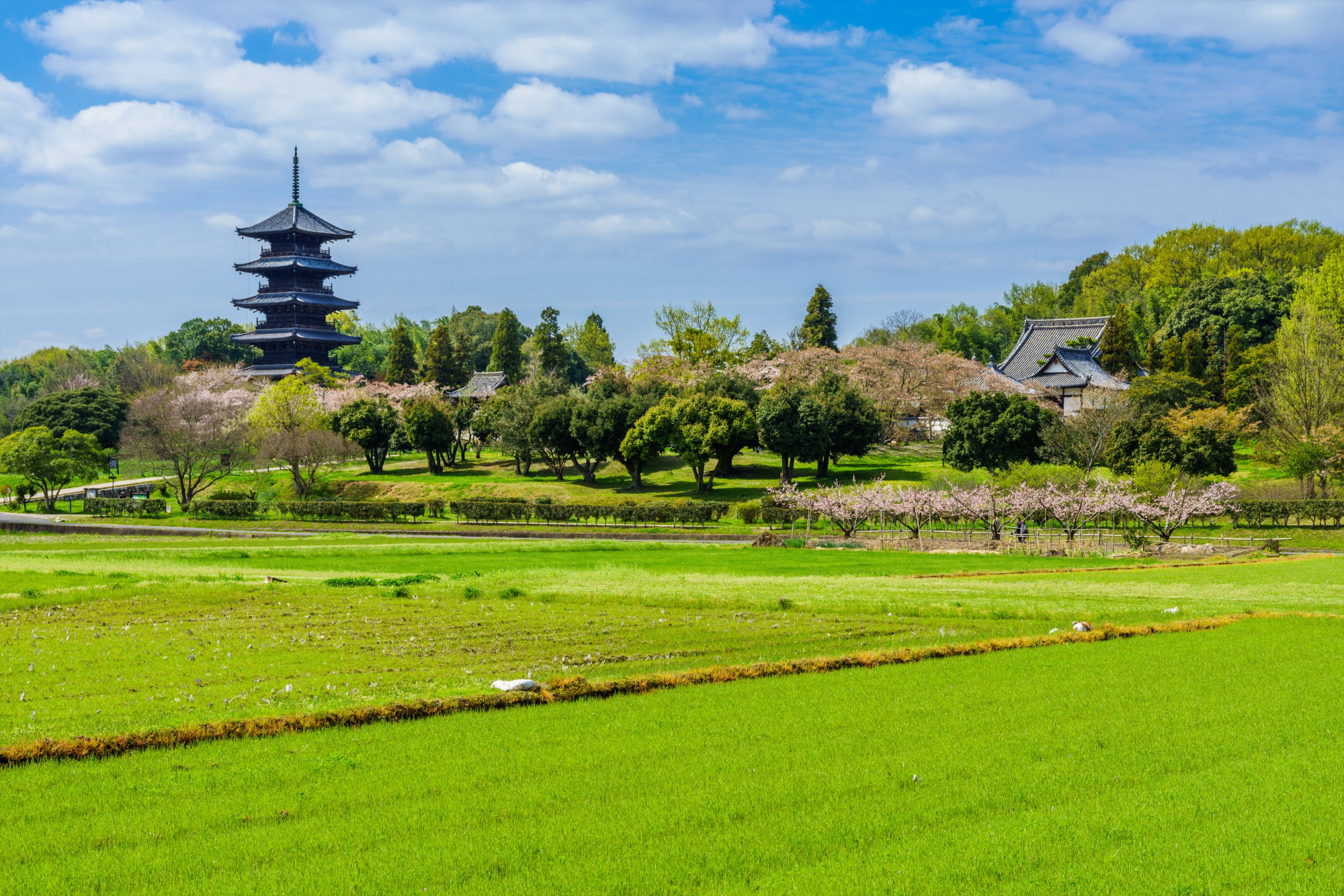 吉備路周辺スポット一覧