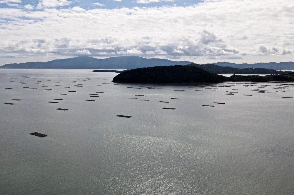 冬は牡蠣！瀬戸内市の牡蠣を楽しむ旅